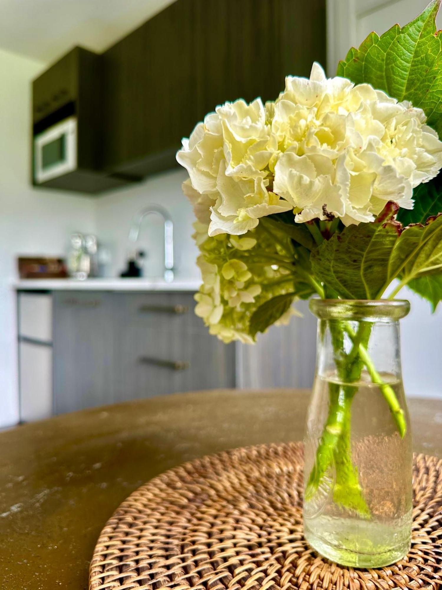 Matamata Country B&B 외부 사진