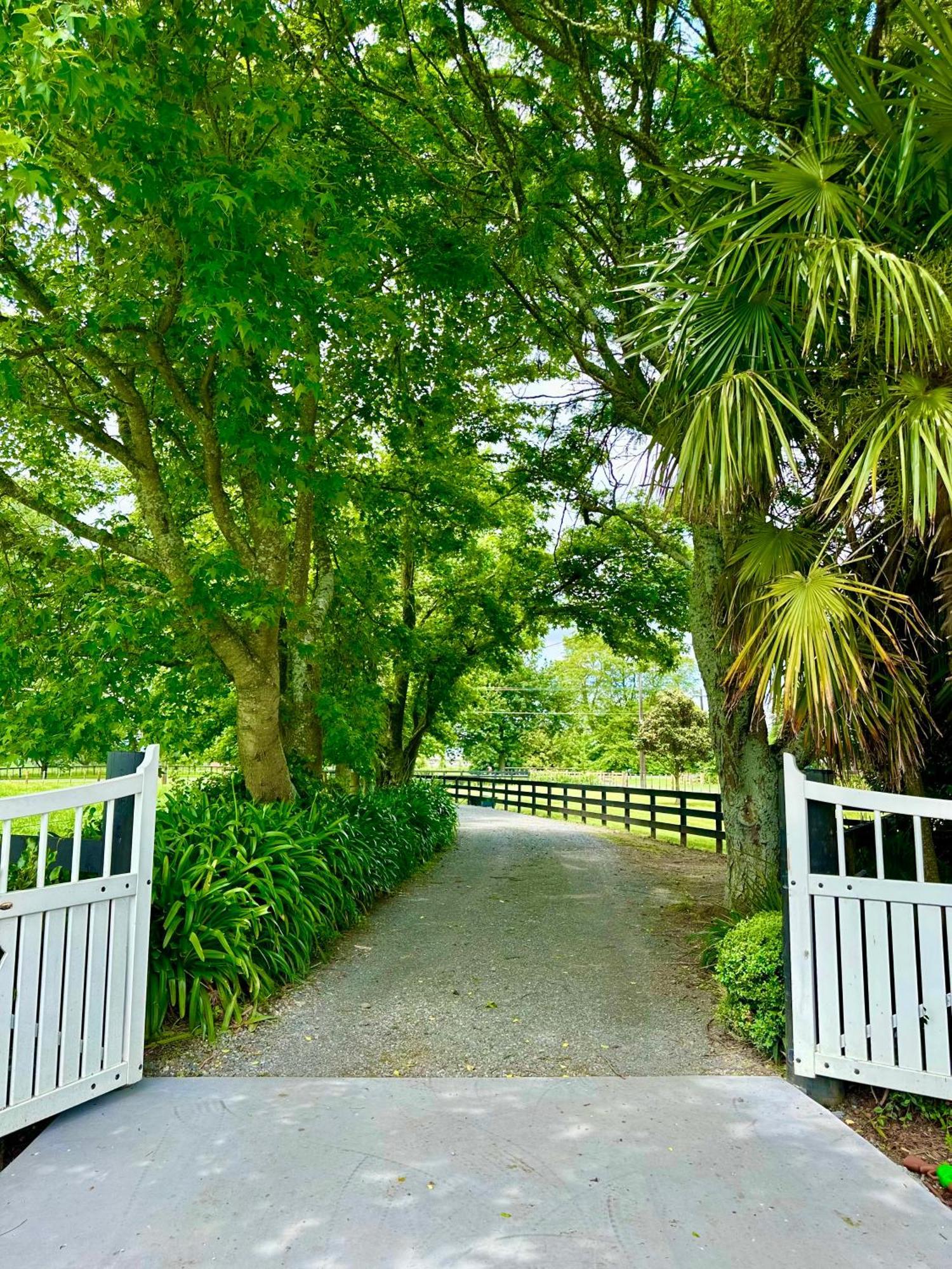Matamata Country B&B 외부 사진